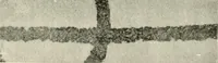 An illustration from A manual of the study of documents to establish the individual character of handwriting and to detect fraud and forgery, including several new methods of research (1894)