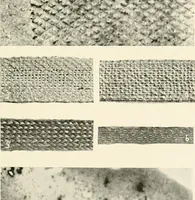 An illustration from A manual of the study of documents to establish the individual character of handwriting and to detect fraud and forgery, including several new methods of research (1894)