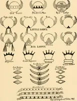 Picture 1 of 4 from Manual of the Woodcraft Indians; the fourteenth Birch-bark roll, containing their constitution, laws, and deeds, and much additional matter (1915), leaf 50