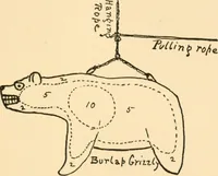 Picture 3 of 4 from Manual of the Woodcraft Indians; the fourteenth Birch-bark roll, containing their constitution, laws, and deeds, and much additional matter (1915), leaf 66