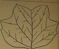 An illustration from Manual training : first lessons in wood-working (1888)