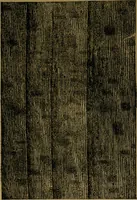 An illustration from Manual training : first lessons in wood-working (1888)