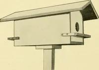 An illustration from Manual training for the rural schools; a group of farm and farm home woodworking problems (1916)
