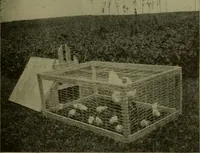 Picture 48 of 51 from Manual training for the rural schools; a group of farm and farm home woodworking problems (1922), leaf 42