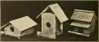 An illustration from Manual training--play problems; constructive work for boys and girls based on the play interest (1917)