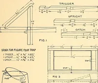 Picture 47 of 165 from Manual training--play problems; constructive work for boys and girls based on the play interest (1917), leaf 56
