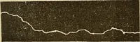 Picture 17 of 52 from Manuel de radioscopie et de radiographie par l'emploi des rayons X (1900), leaf 42