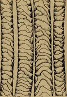 Picture 104 of 116 from Manufacture of narrow woven fabrics, ribbons, trimmings, edgings, etc., giving description of the various yarns used. The construction of weaves and novelties in fabric structures, also descriptive matter as to looms, etc (1917), leaf 226
