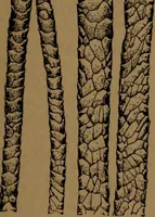 An illustration from Manufacture of narrow woven fabrics, ribbons, trimmings, edgings, etc., giving description of the various yarns used. The construction of weaves and novelties in fabric structures, also descriptive matter as to looms, etc (1917)