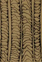 Picture 114 of 123 from Manufacture of narrow woven fabrics, ribbons, trimmings, edgings, etc., giving description of the various yarns used. The construction of weaves and novelties in fabric structures, also descriptive matter as to looms, etc (1917), leaf 222