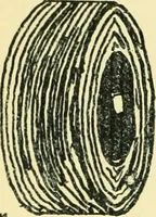 An illustration from Manuscript notes on weaving (1912)