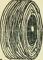 An illustration from Manuscript notes on weaving (1900)
