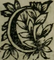 Picture 19 of 36 from Manvel dv breviaire romain. Où sont exposées clairement & methodiquement les raissons historiques & mystiques des heures canoniales (1663), leaf 178