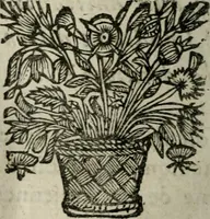 An illustration from Manvel dv breviaire romain. Où sont exposées clairement & methodiquement les raissons historiques & mystiques des heures canoniales (1663)