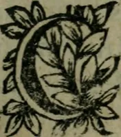 Picture 15 of 21 from Manvel dv breviaire romain. Où sont exposées clairement & methodiquement les raissons historiques & mystiques des heures canoniales (1663), leaf 342