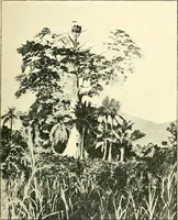 An illustration from Maps and map-making; three lectures delivered under the auspices of the Royal geographical society (1910)