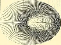 An illustration from Maps and map-making; three lectures delivered under the auspices of the Royal geographical society (1910)