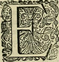 An illustration from Ammiani Marcellini Rerum gestarum qui de XXXI supersunt, libri XVIII (1693)
