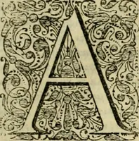 An illustration from Ammiani Marcellini Rerum gestarum qui de XXXI supersunt, libri XVIII (1693)