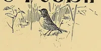 Picture 10 of 13 from Marching plays. Designed for little children at home (1896), leaf 73
