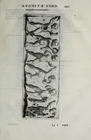 Picture 10 of 16 from Marci Velseri Matthaei f. Ant. n. patricii Aug. Vind. Rerum Augustanar. Vindelicar. libri octo (1594), leaf 243
