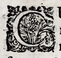 An illustration from Marci ZuerI BoxhornI Emblemata politica : accedunt dissertationes politicae de Romanorum imperio, et quaedam aliae (1651)
