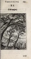 Picture 14 of 20 from Marci ZuerI BoxhornI Emblemata politica : accedunt dissertationes politicae de Romanorum imperio, et quaedam aliae (1651), leaf 123