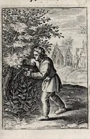 An illustration from Marci ZuerI BoxhornI Emblemata politica : accedunt dissertationes politicae de Romanorum imperio, et quaedam aliae (1651)