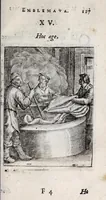Picture 18 of 20 from Marci ZuerI BoxhornI Emblemata politica : accedunt dissertationes politicae de Romanorum imperio, et quaedam aliae (1651), leaf 133