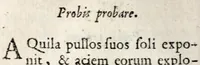 Picture 10 of 20 from Marci ZuerI BoxhornI Emblemata politica : accedunt dissertationes politicae de Romanorum imperio, et quaedam aliae (1651), leaf 64