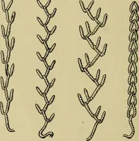 An illustration from Margaret J. Blair's system of sewing and garment drafting (1904)