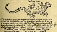Picture 19 of 31 from Margarita philosophica (1504), leaf 433