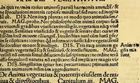 An illustration from Margarita philosophica (1504)