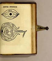 Picture 27 of 31 from Margarita philosophica (1504), leaf 489