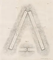 Picture 2 of 4 from Marginalia (1731), leaf 233
