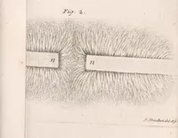 Picture 3 of 4 from Marginalia (1731), leaf 239