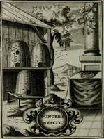 An illustration from Mariae höchst-wunderbarliche und ohne alle Sünden-Mackl gnaden-reich beschehene Empfängnuss : in hunderterley Sinn-Bildern vorgestellet, mit minder ... durch gleich-lauffende Vers deutlich erkläret : anbey mit einer anmüthigen Melodey versehen .. (1712)