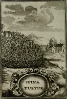 An illustration from Mariae höchst-wunderbarliche und ohne alle Sünden-Mackl gnaden-reich beschehene Empfängnuss : in hunderterley Sinn-Bildern vorgestellet, mit minder ... durch gleich-lauffende Vers deutlich erkläret : anbey mit einer anmüthigen Melodey versehen .. (1712)
