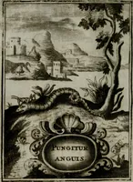 An illustration from Mariae höchst-wunderbarliche und ohne alle Sünden-Mackl gnaden-reich beschehene Empfängnuss : in hunderterley Sinn-Bildern vorgestellet, mit minder ... durch gleich-lauffende Vers deutlich erkläret : anbey mit einer anmüthigen Melodey versehen .. (1712)