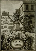 An illustration from Mariae höchst-wunderbarliche und ohne alle Sünden-Mackl gnaden-reich beschehene Empfängnuss : in hunderterley Sinn-Bildern vorgestellet, mit minder ... durch gleich-lauffende Vers deutlich erkläret : anbey mit einer anmüthigen Melodey versehen .. (1712)