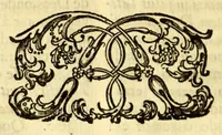 An illustration from Maria Rosa Mystica. : Excellencias, poderes, e maravilhas do seu rosario, compendiadas em trinta sermoens asceticos, & panegyricos sobre os dous evangelhos desta solennidade novo, & antigo: (1686)