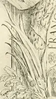 An illustration from Maria Vergine coronata : descrizione, e dichiarazione della diuota solennità fatta in Reggio li 13. maggio 1674 (1675)