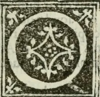 Picture 12 of 26 from Francisci Marii Grapaldi De partibvs aedivm libellvs cvm additamentis emendatissimvs (1501), leaf 126