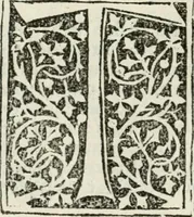 Picture 13 of 26 from Francisci Marii Grapaldi De partibvs aedivm libellvs cvm additamentis emendatissimvs (1501), leaf 141