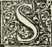 An illustration from Francisci Marii Grapaldi De partibvs aedivm libellvs cvm additamentis emendatissimvs (1501)