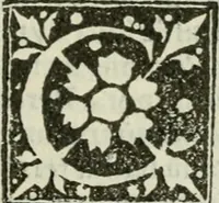 Picture 17 of 26 from Francisci Marii Grapaldi De partibvs aedivm libellvs cvm additamentis emendatissimvs (1501), leaf 194
