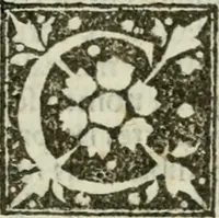 Picture 19 of 26 from Francisci Marii Grapaldi De partibvs aedivm libellvs cvm additamentis emendatissimvs (1501), leaf 218