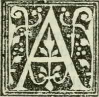 Picture 23 of 26 from Francisci Marii Grapaldi De partibvs aedivm libellvs cvm additamentis emendatissimvs (1501), leaf 260