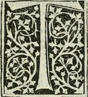 Picture 25 of 26 from Francisci Marii Grapaldi De partibvs aedivm libellvs cvm additamentis emendatissimvs (1501), leaf 284