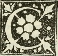 An illustration from Francisci Marii Grapaldi De partibvs aedivm libellvs cvm additamentis emendatissimvs (1501)